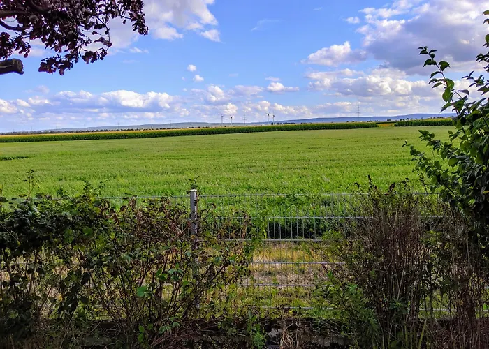 Grosse Schoenheit Mit Panoramablick