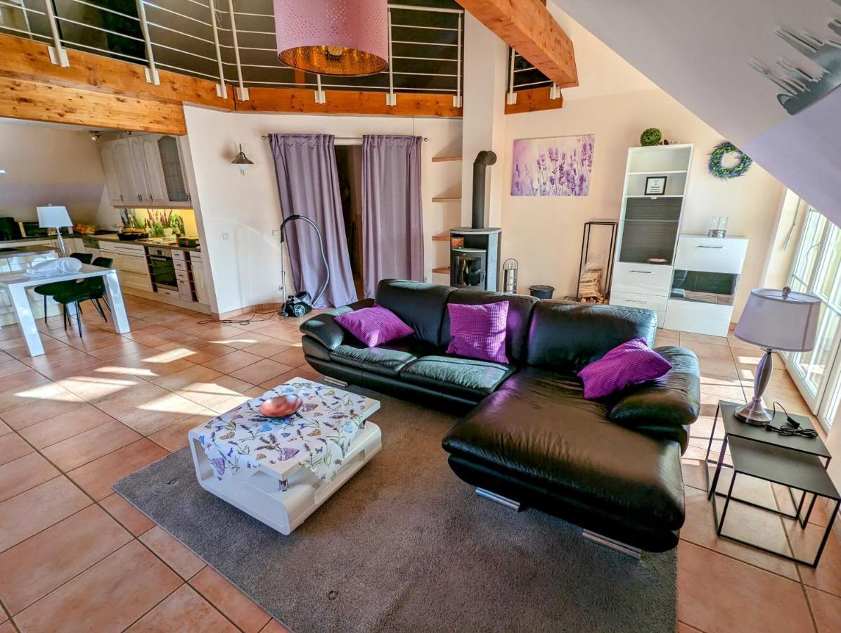 Grosse Schoenheit Mit Panoramablick